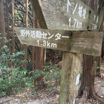 あまりに暑く予定変更🗓️
下山コースへ