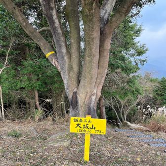 頂上。誰もいない。