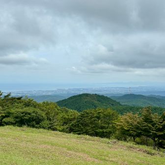 中津市方面