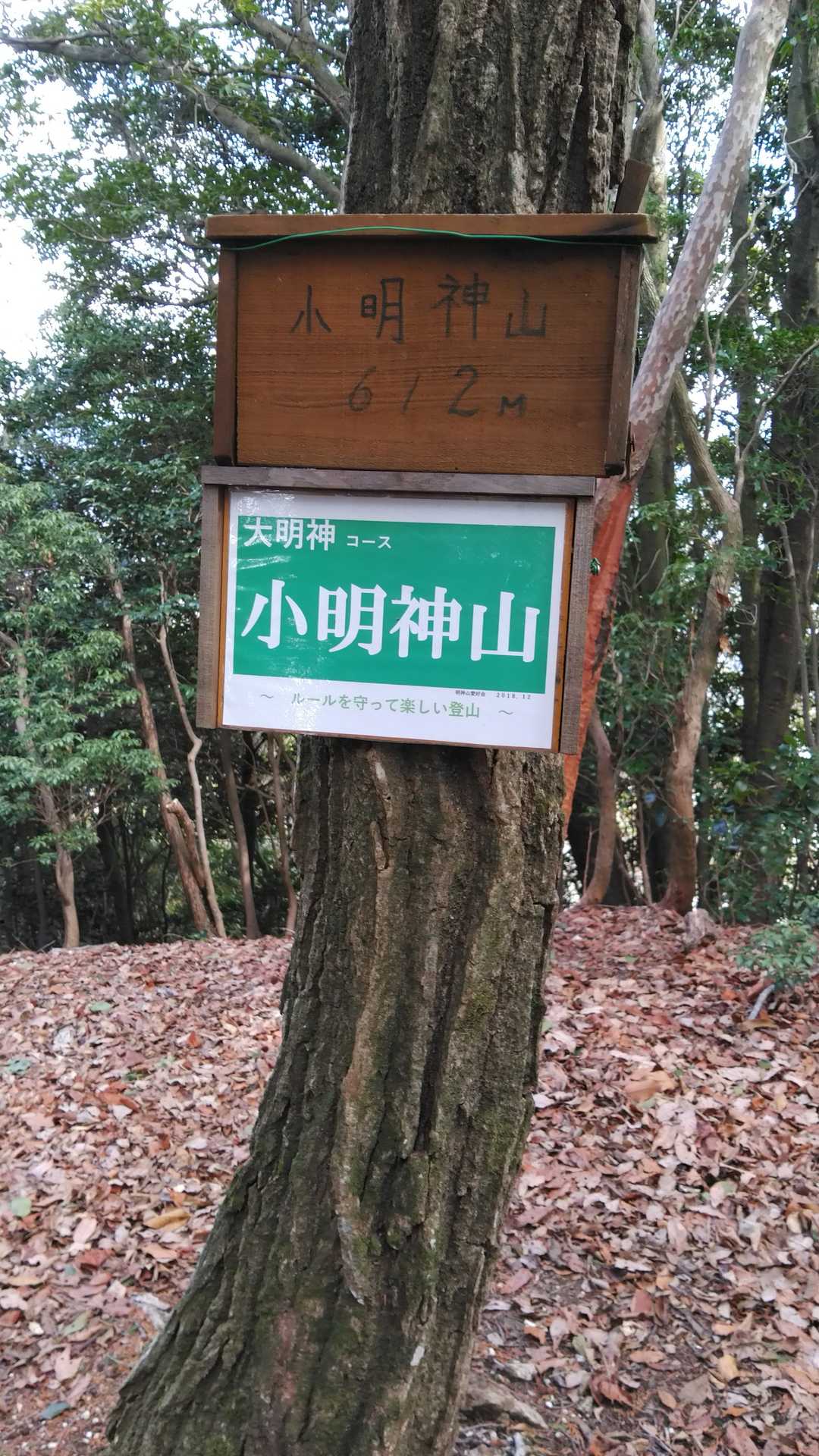 本当は王道のC～Aのつもりやったけどここまで来たので大明神から下山