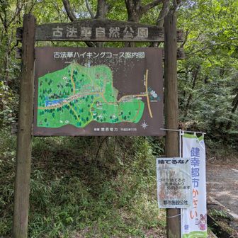 戻ってきました
いつきても良い山歩できます✨