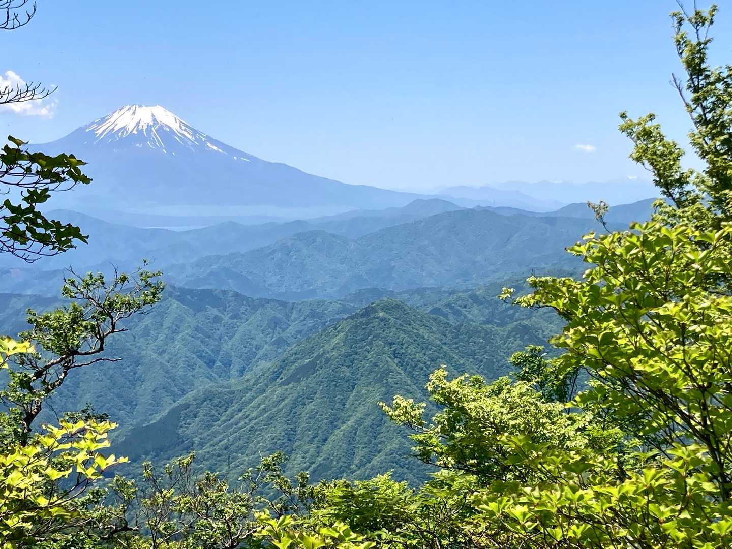 西丹沢ビジターセンターバス停-ツツジ新道入口-檜洞丸-テシ 周回コースの写真