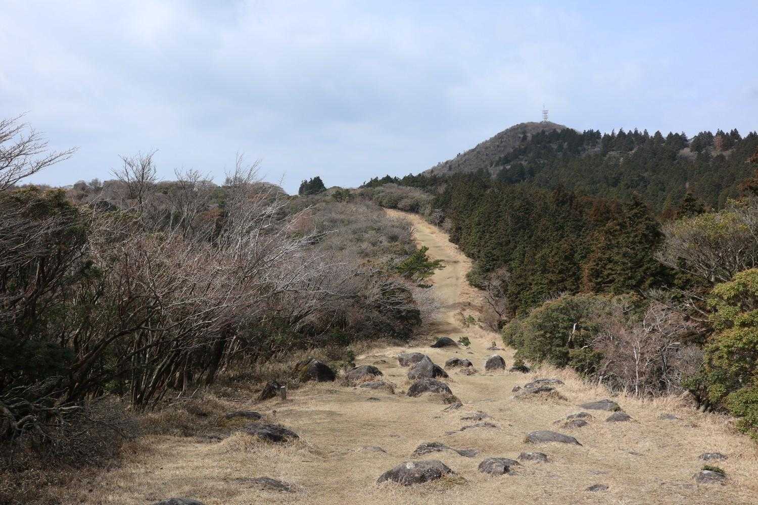 金冠山〜小達磨山〜達磨山〜古稀山〜伽藍山　往復コースの写真