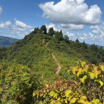 大城、小城は山名板がなかったので折り返し坂戸山に戻ります⛰️