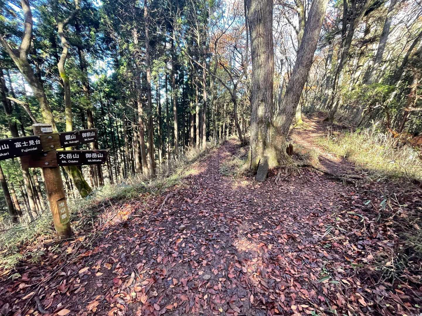 大滝-大岳山 往復コースの写真