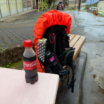 びちょ濡れでもコーラは飲みたい🥤