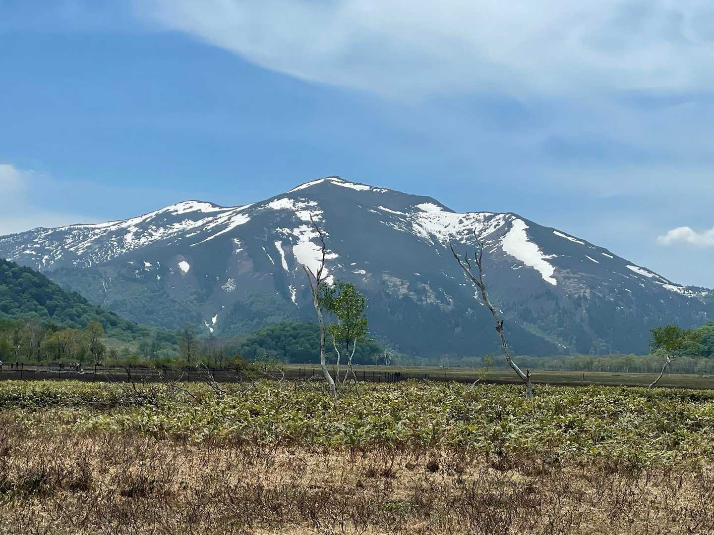 存在感のある　至仏山