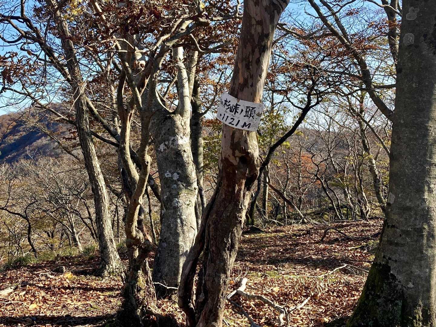 杉峠の頭