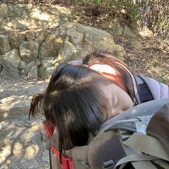 下山はだいたい💤