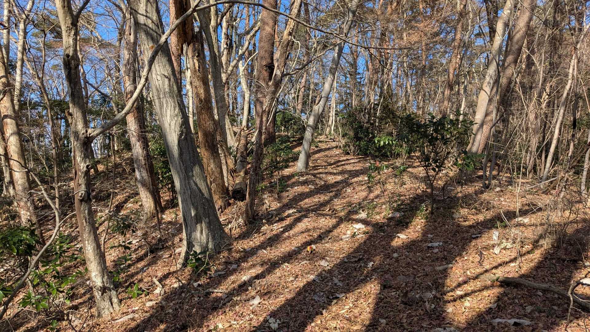 水沼山鷹巣山登山口-水沼山-鷹巣山-水沼ダム 周回コースの写真