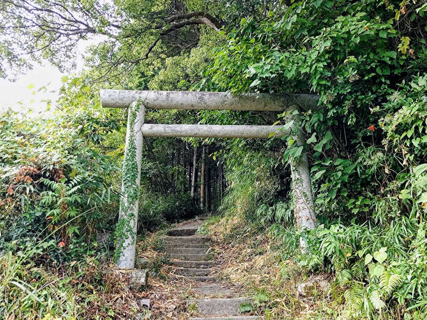 4年ぶりの太華山⛰️、行ってきます‼️
小雨パラパラ☂️したけどすぐに止みました♪