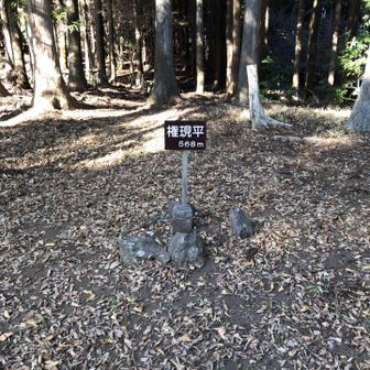 権現平にはテーブルベンチが数択設置されていますが、少し年期が入っています。
山頂手前には立派なトイレが設置されていました🙏ありがたい❗️