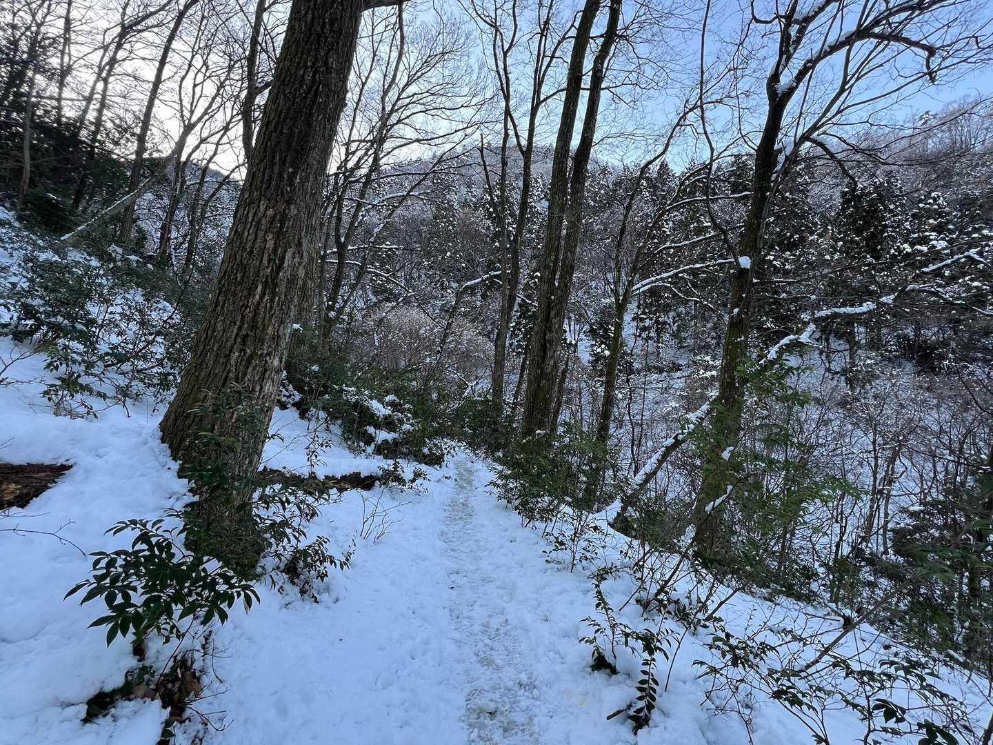 ちょっと、白くなって来た🤭