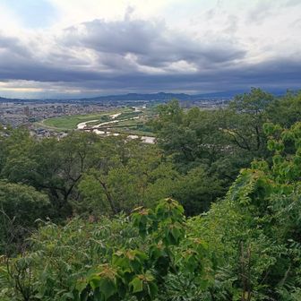 足利富士から見た
渡良瀬川