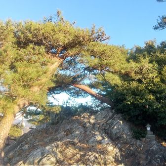 天狗岩からの景色は是非ご覧ください！