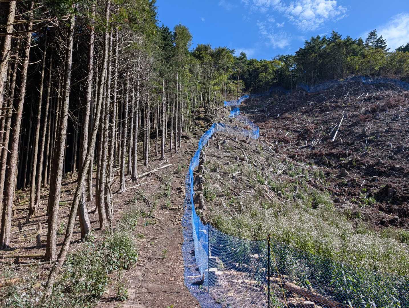 下ったと思ったらめっちゃ登り返し💦