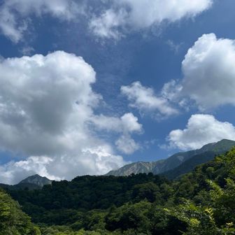 降りたら完全に雲が晴れてる。夏空である。