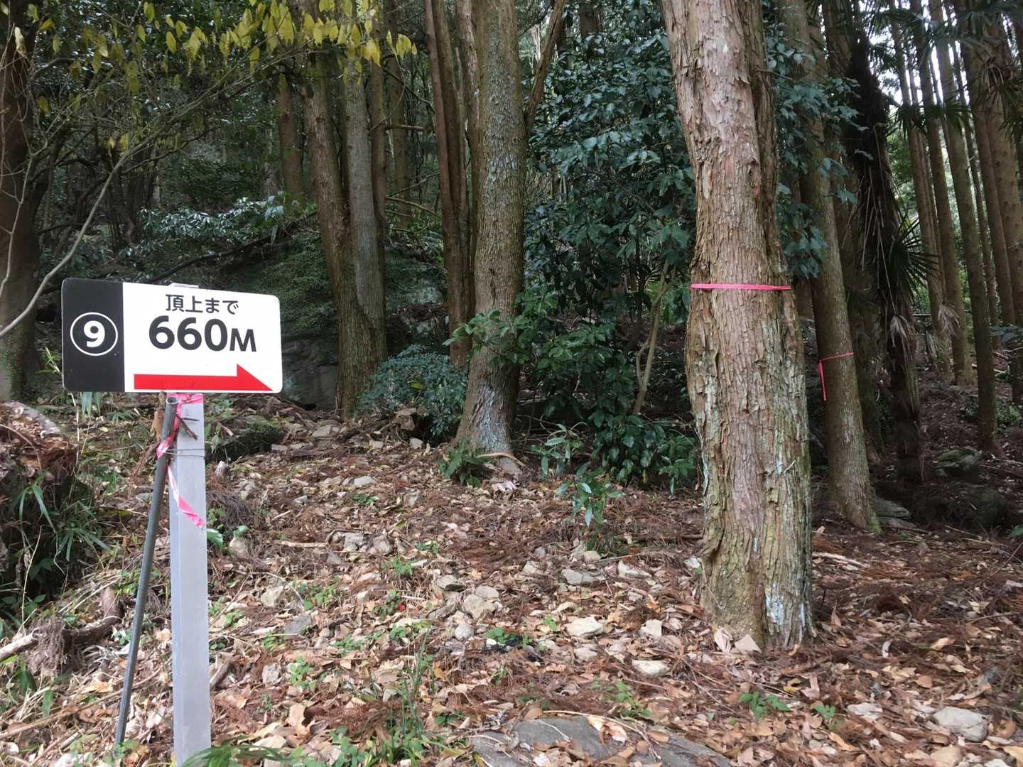 案内板多くて迷わない