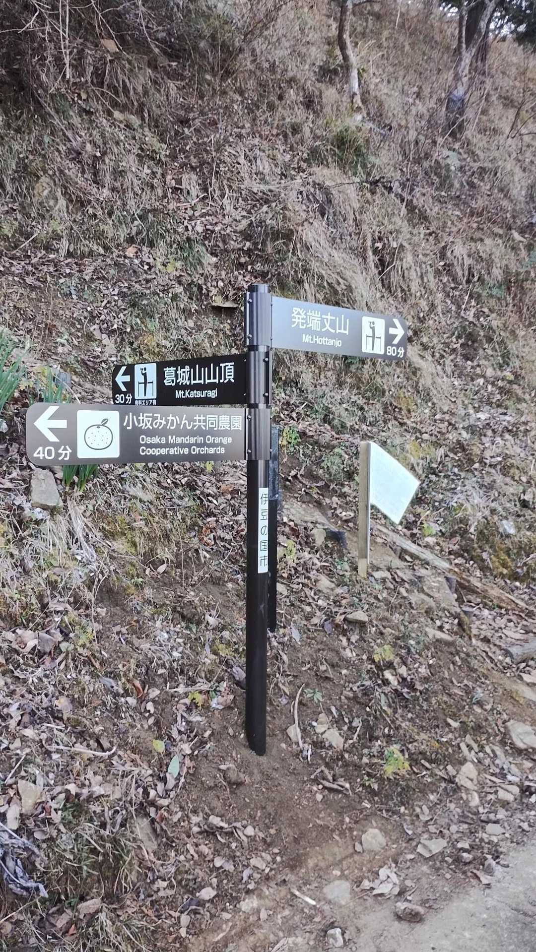 葛城山-かつらぎ山 登り口-かつらぎ山 登り口-発端丈山- 縦走コースの写真