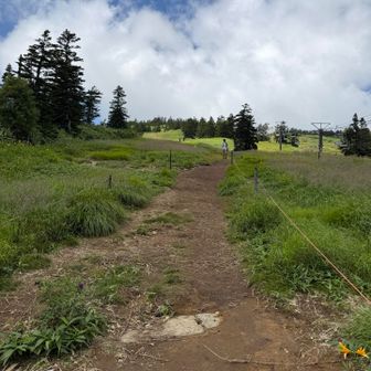 リフトは使わずスキー場コースから横手山に登る