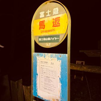 バスも1日2本あります