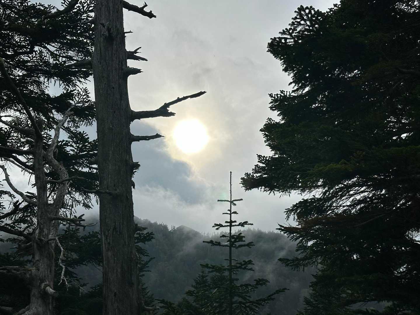 西穂山荘がチラリ