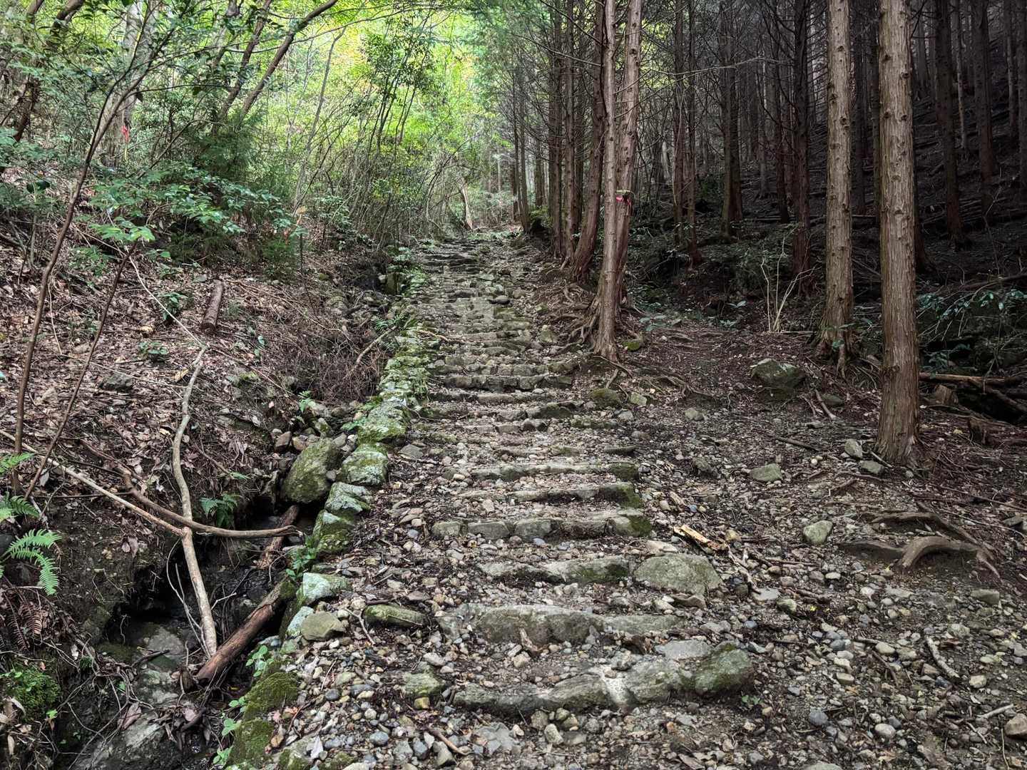 古道のような石の階段。