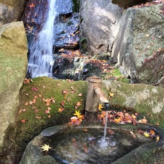 三滝の名水
平和記念式典の献水のひとつ