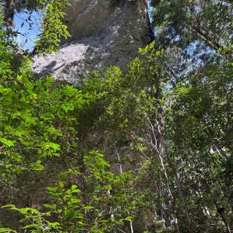 こえーーーー
写真の右上ね🧗

興味がないと言うと嘘になりますが
やってみたいかと言うと嫌な私😑