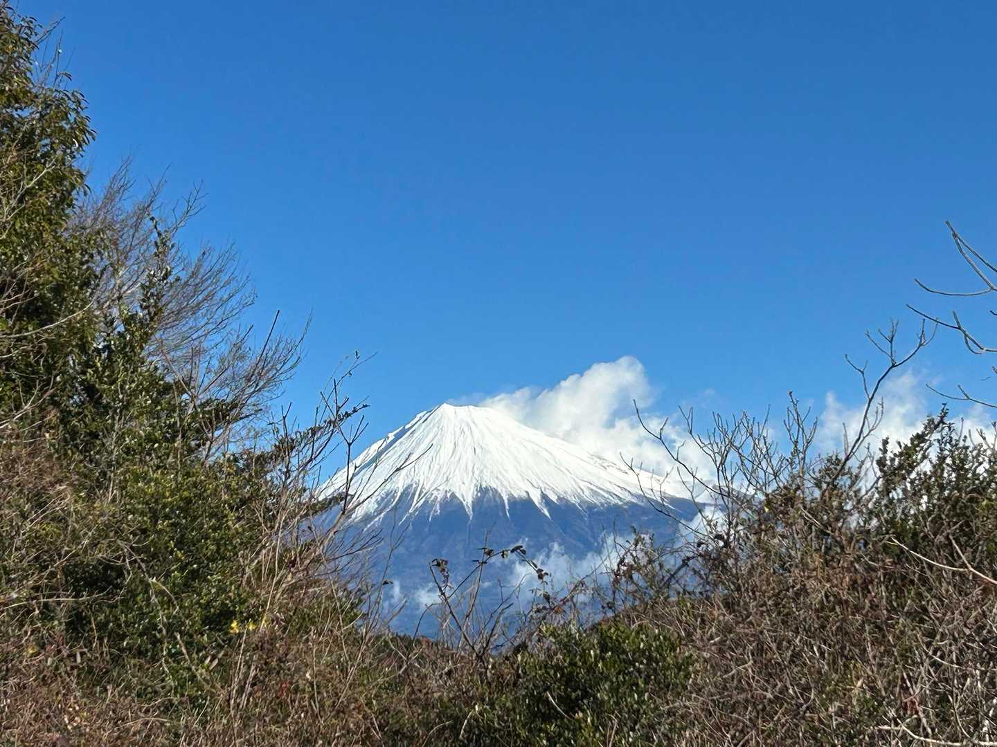 アップで。
やっぱり雪を被った富士山はカッコいいなあ🥰