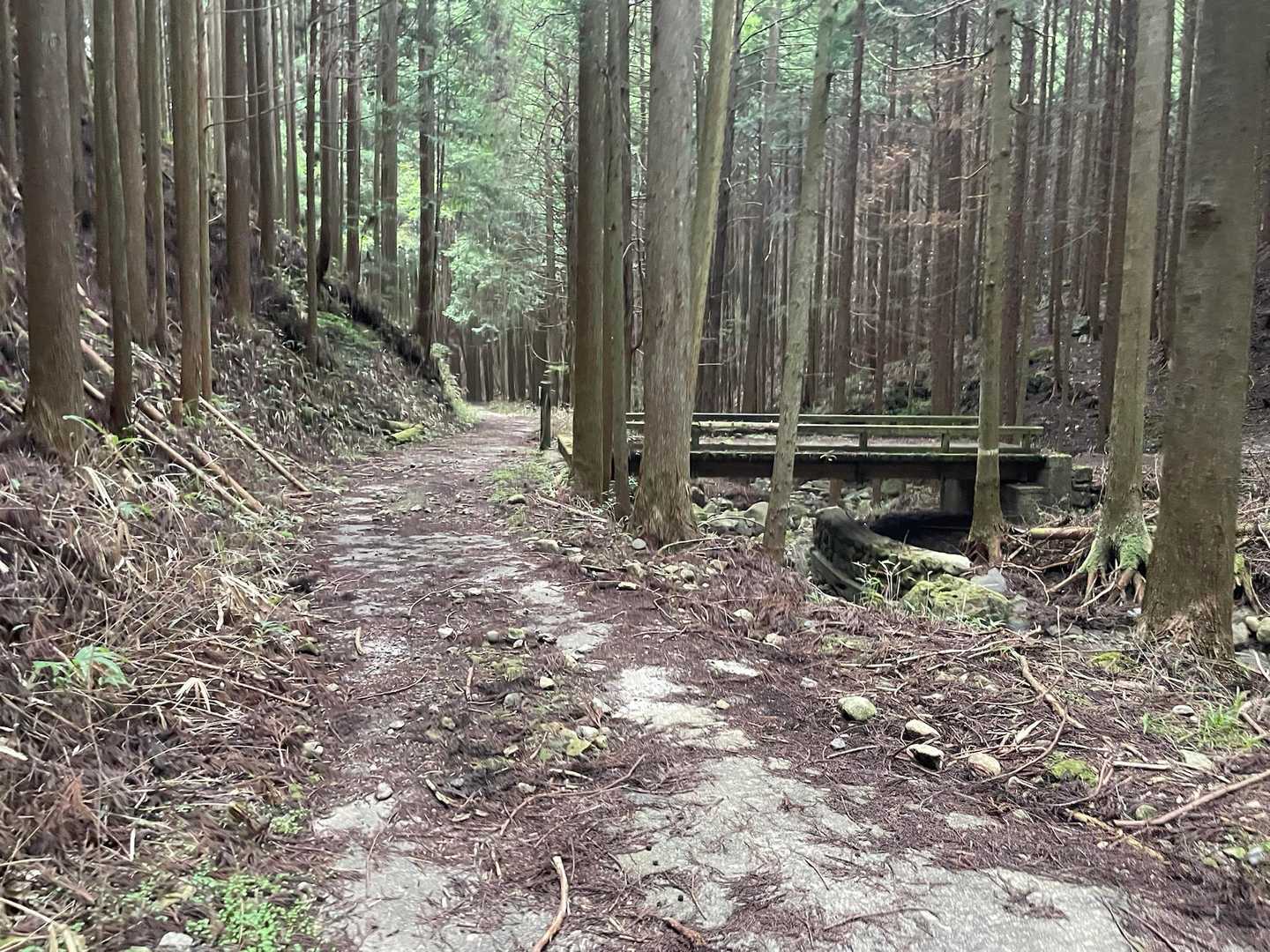 ここでは誰とも合わず😓
NOスライドのまま下山😆

さあ次なる東海百山を目指して👆
車で移動中にエネルギー補給しなきゃ🍌