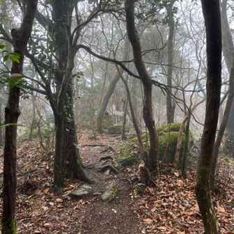 ひっそりしています