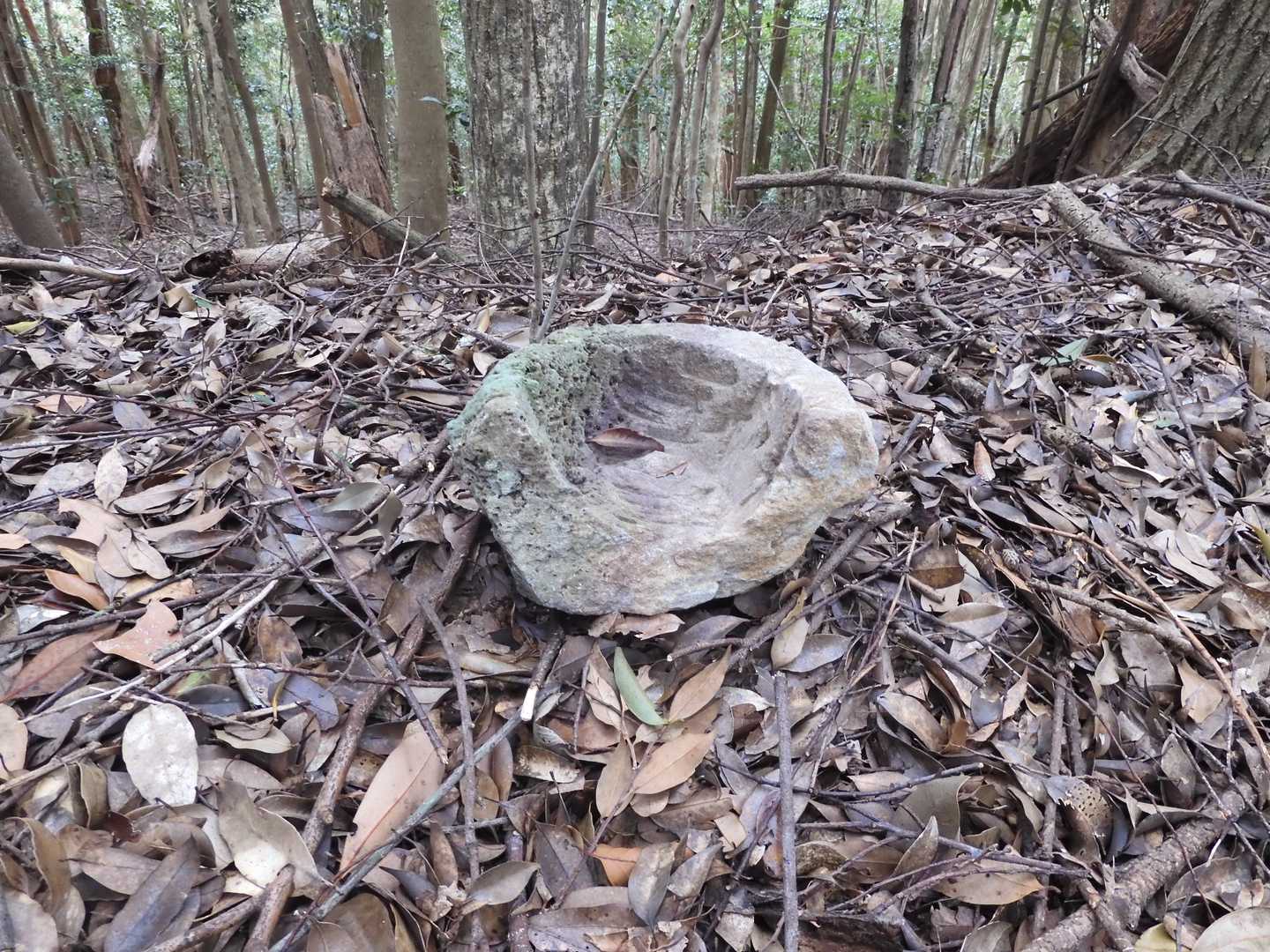 石鍋の欠片が昨日のまま...