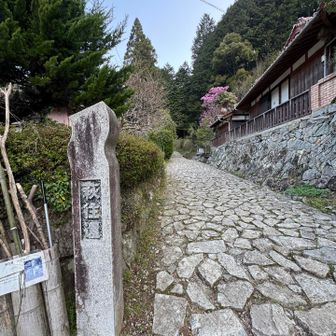 萩往還を進みます