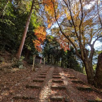 今年の紅葉にはとっても満足😊