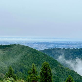 小仏城山までノンストップ