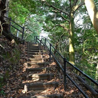 非常に整備されており、とても歩き易い。