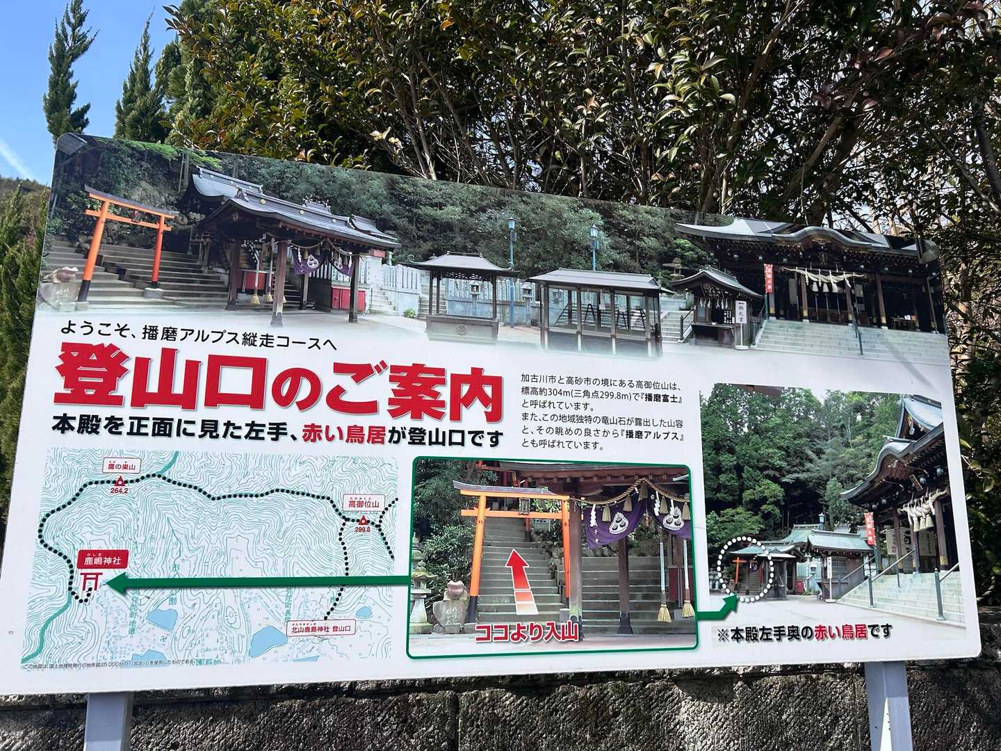 馬の背登山口-鹿嶋神社登山道入口-鷹ノ巣山-市ノ池登山口 周回コースの写真