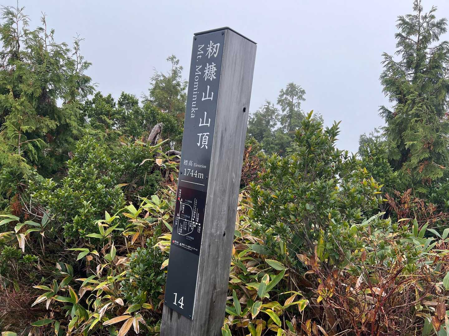 山頂直下の急登を登り山頂に到着⛰️