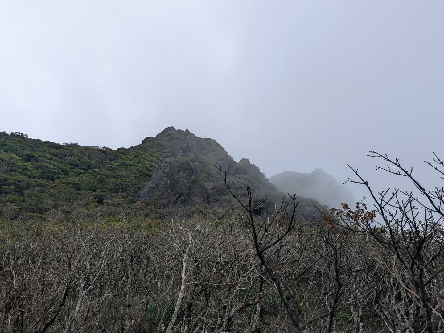 やっと目指す所も少し見えてきた〜