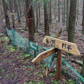 笹峠。