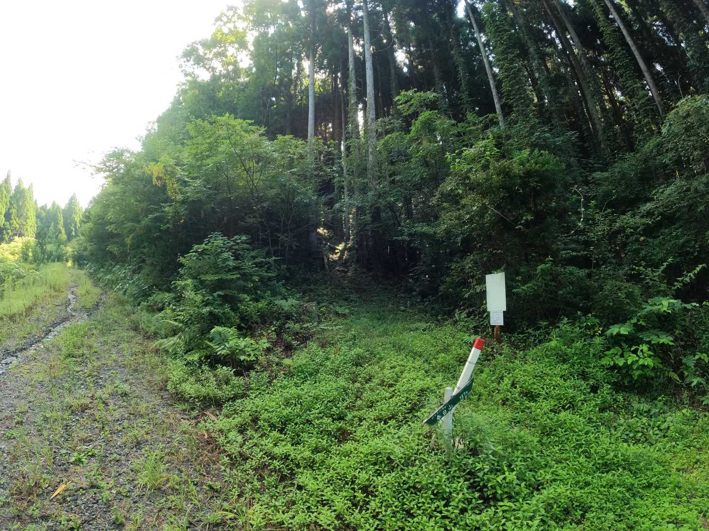 春日山登山口
「工事完成後、車で来れそう」