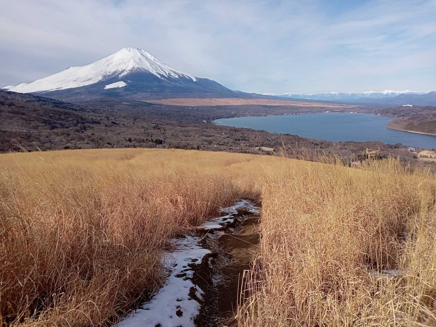 かやの中の登山道