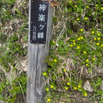 神楽ヶ峰⛰️