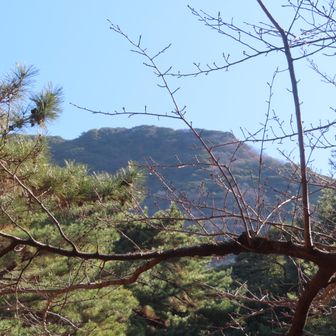 鉄塔ピークが見える