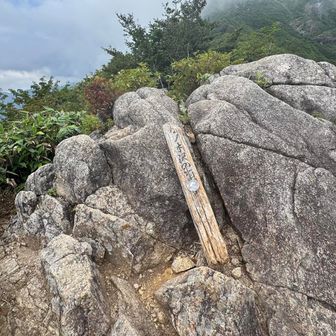松ノ木沢ノ頭。
岩場はここまでかな。