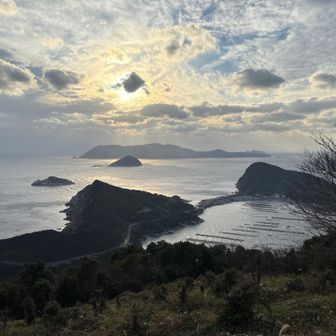 柏島は透明度が高い所‼️見たかった