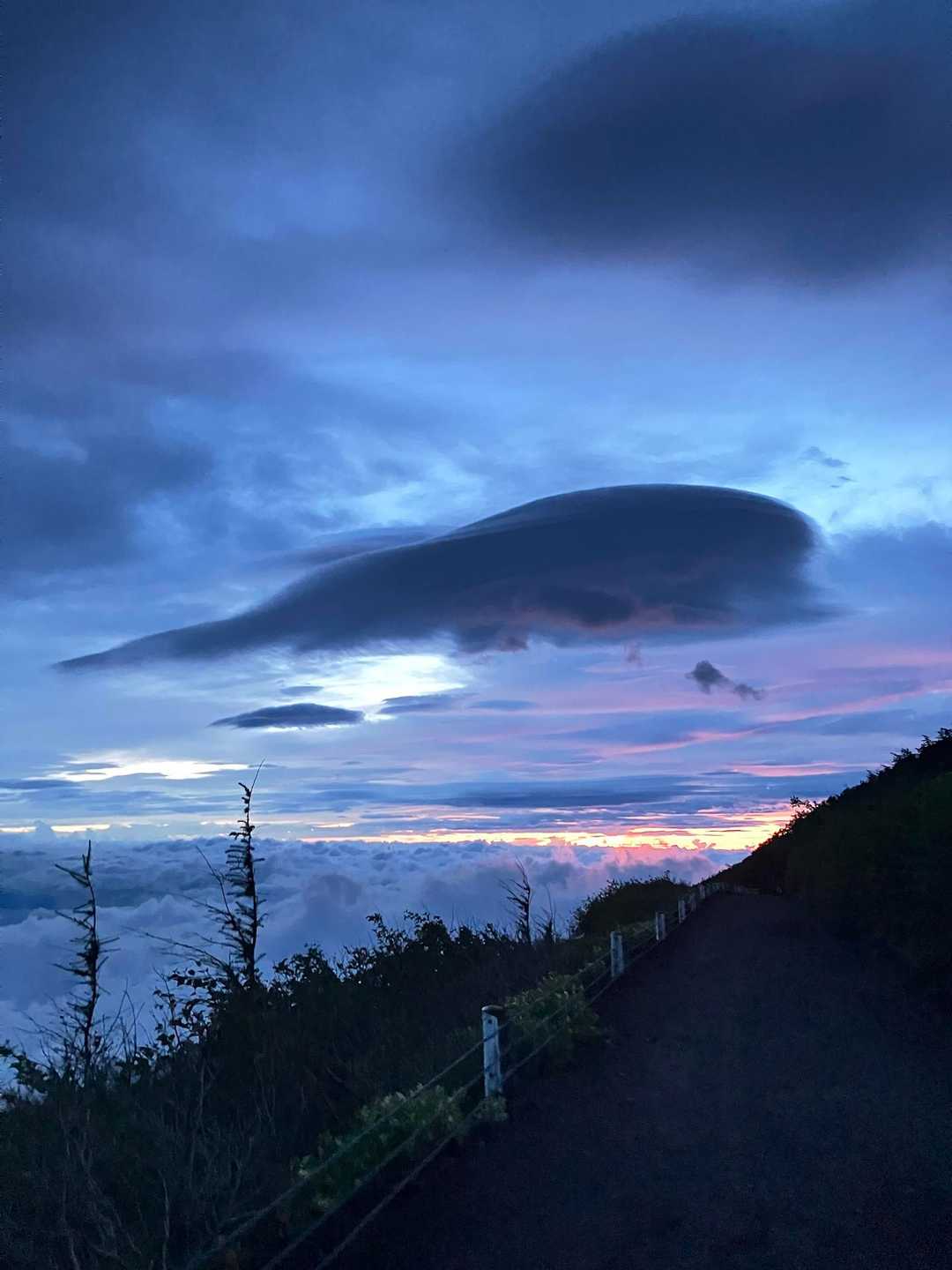 めっちゃクジラ雲🐳

今回の自分イチオシ、フォトジェニック賞✨