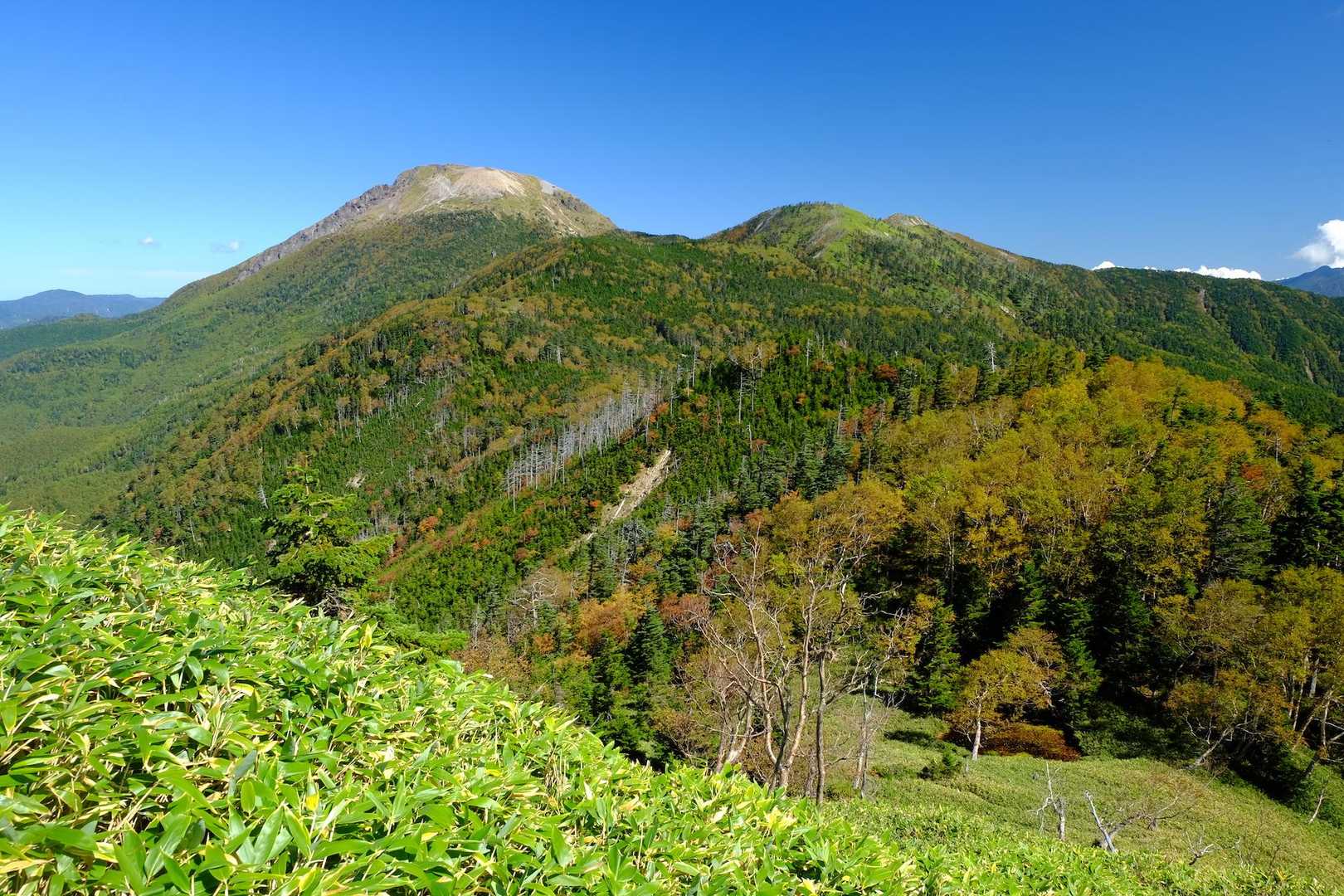 道中の景色は最高です