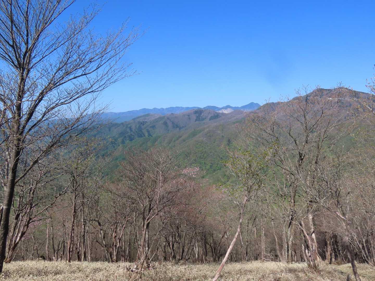 頂上付近まで登ると、西側には袈裟丸連峰と、皇海山が見えます。